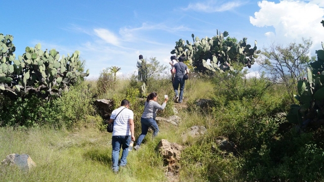  Teotihuacan landscapes 